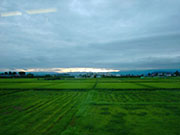 米坂線からの風景
